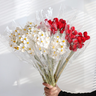 网红永生花五瓣花草莓果千日红鲜花花束干花插花配饰送对象手捧花