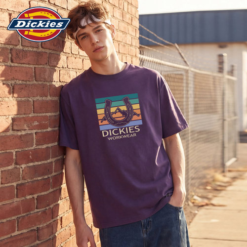 Dickies帝酷适美式纯棉高级感短袖T恤男夏季青少年潮牌圆领上衣M
