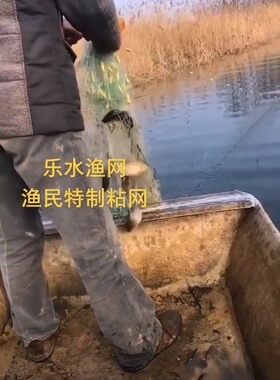 乐水三层加粗丝赶海渔网