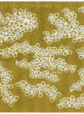 LW35084 1/35 模型场景蚀刻片 常春藤