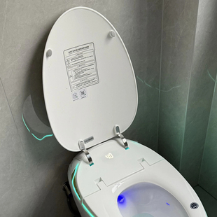 蛋形智能马桶自动翻盖专用上盖盖子断裂替换创意鸡蛋型智能座便器