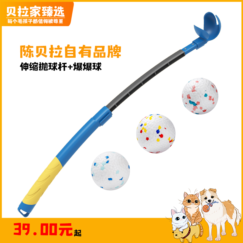 陈贝拉球巡回训练挥球杆