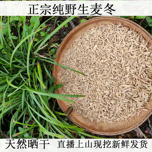 野生麦冬滋阴润肺养胃中药材