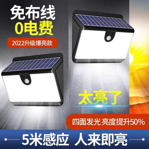 太阳能灯天黑自动亮新农村照明灯
