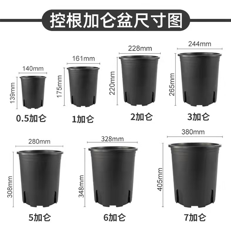 黑色二代加仑盆多肉绿萝兰花石斛透气多孔种植育苗控根盆塑料花盆