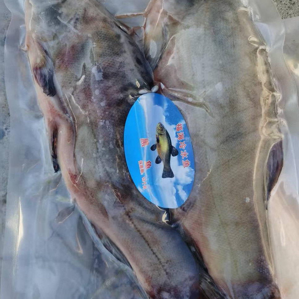 新疆福海天鹅湖有机冷水鱼 黑鱼