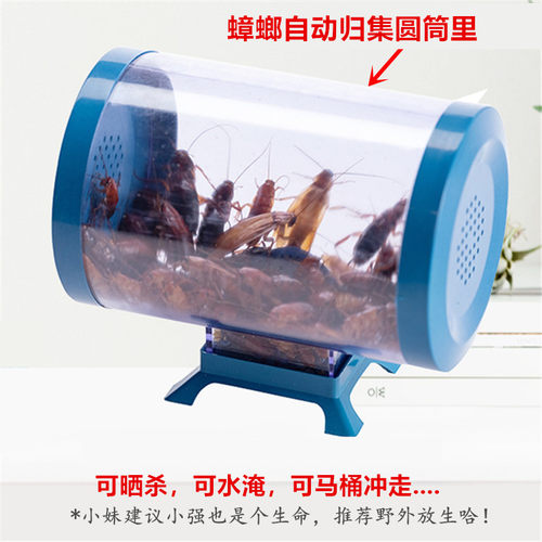 蟑螂诱捕器无毒害灭杀大小一窝端