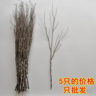 仿真枯藤藤条装饰树叶干树枝室内蔓藤假植物绿植壁挂树藤花藤装饰
