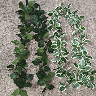 饰塑料花缠空调管遮挡 仿真藤条圣诞叶子假植物常青藤包下水管道装