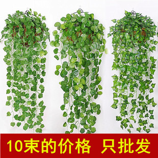 仿真绿萝海棠地瓜客厅挂墙绿植壁挂植物装 饰垂挂吊假花藤条吊兰花