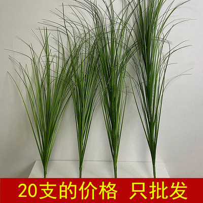 仿真蒲苇草洋葱草20支的价格