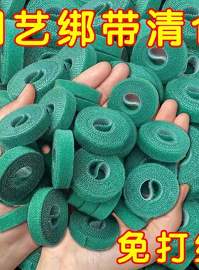 绿植捆绑扎带绿色魔术贴粘扣带捆绑植物支撑不伤植物固定扎带