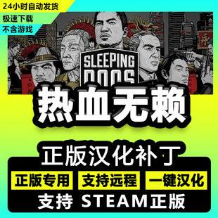 steam热血无赖Sleeping Dogs正版中文汉化补丁电脑PC/不含游戏