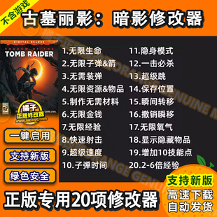 古墓丽影：暗影11修改器 正版 steam epic 辅助科技工具 不含游戏