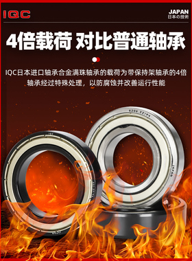 进口耐高温窑炉轴承600度FT6000 6001 6002 6003 6004 6005 6006Z