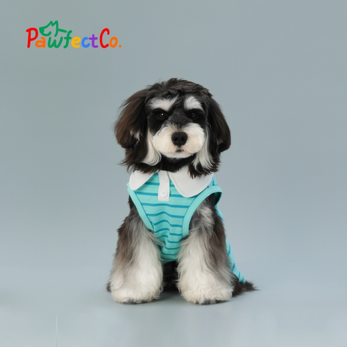 PawfectCo夏季狗狗背心孔雀蓝