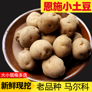 【农户自留品种】湖北恩施富硒小土豆新鲜黄心洋芋高山土豆马尔科