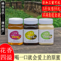 广东龙眼荔枝蜜 天然结晶农家自产 纯五味子蜜 土蜂蜜500g瓶装
