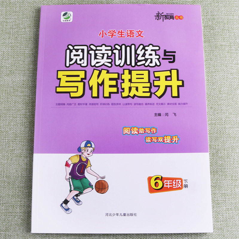 新版小学生语文阅读训练与写作能力提升六年级下册辅导书练习册随堂