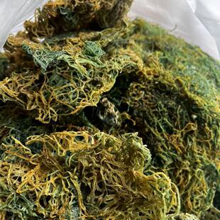 海粉海兔粉海珠粉精选天然冬粉无杂质泡发率高中药材药食同源