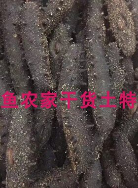 精选淡干海参刺参干货
