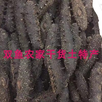 精选野生海参刺参淡干精品干货泡发率高口感佳物美价廉100g