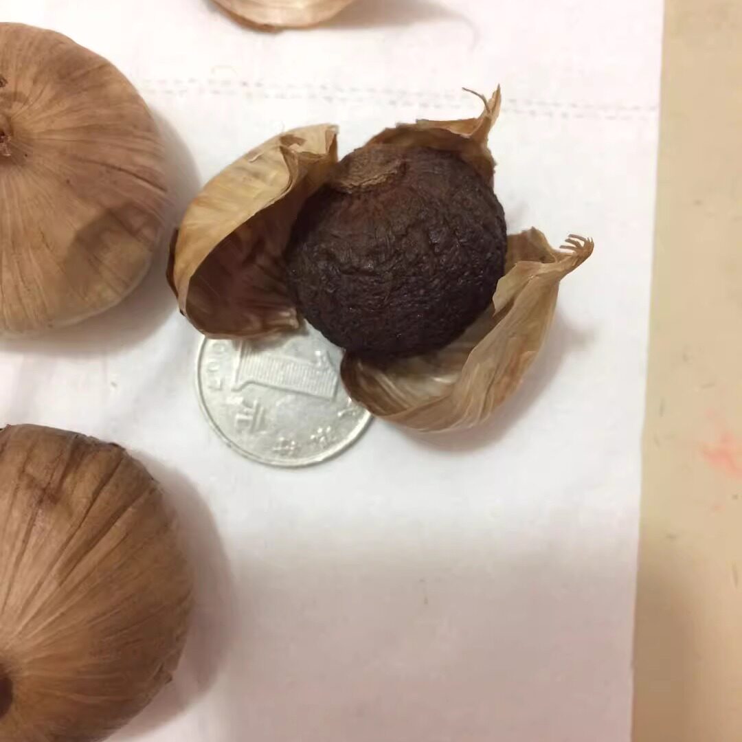 黑蒜完整大颗粒单瓶净重450g
