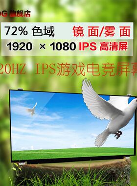 机械师F57 F117-F-S T58 T57 T90 M510A M511 M520A 液晶显示屏幕