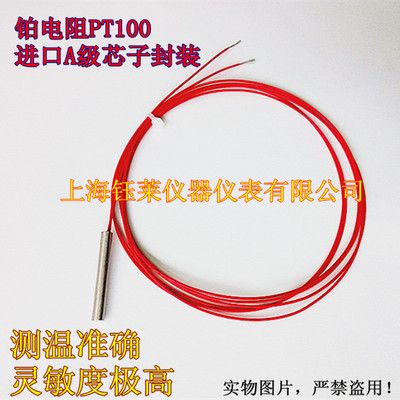 A级热电阻pt100（日本元件封装） 铂电阻 尺寸4x30mm 高温引线