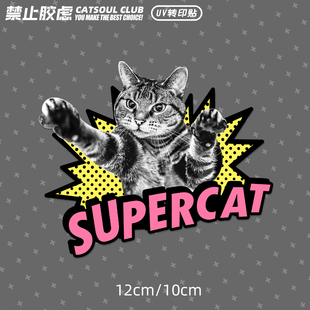 原创可爱虎斑猫公路车电动车户外汽车装饰贴头盔贴UV转印贴防晒