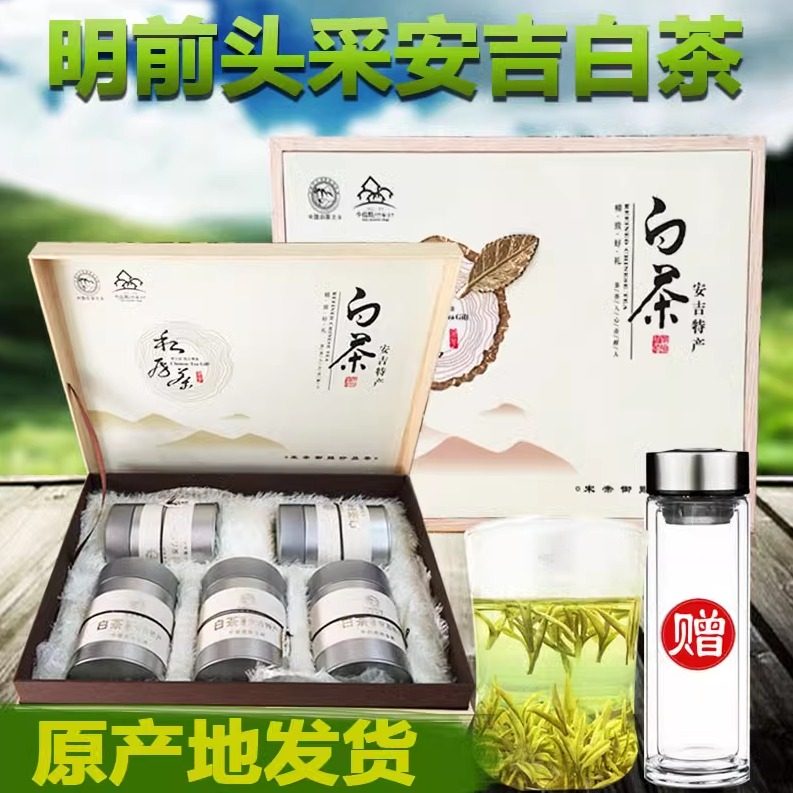 安吉白茶250克明前头采礼盒