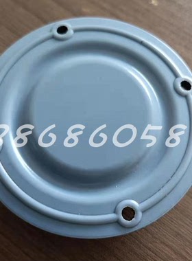 米顿罗电磁泵膜 B146-313TI  B129 B398 P066 B136 P756 C126B926