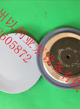 OBL计量泵 固化剂泵 意大利原装进口原厂型号  MS1C13B1C4080