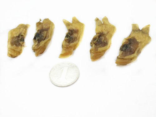 包邮500克 新鲜海蛏子干江苏干 蛏干干货 水产海鲜干货
