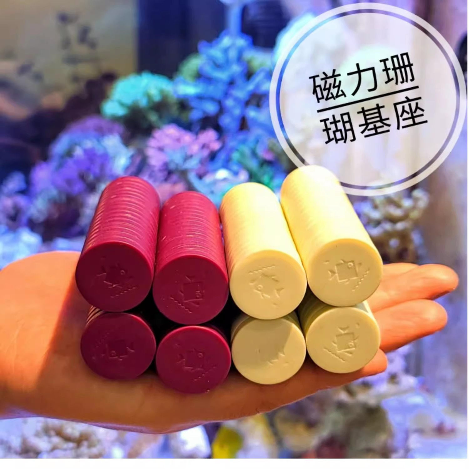 磁力珊瑚基座鱼珊瑚架繁殖底座