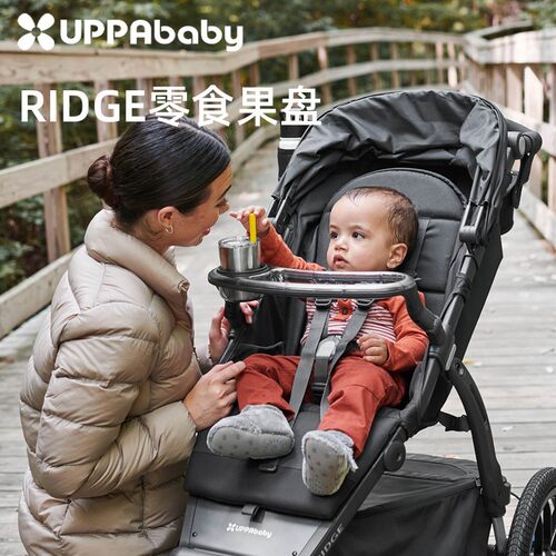 美国UPPAbaby果盘RIDGE溜娃推车