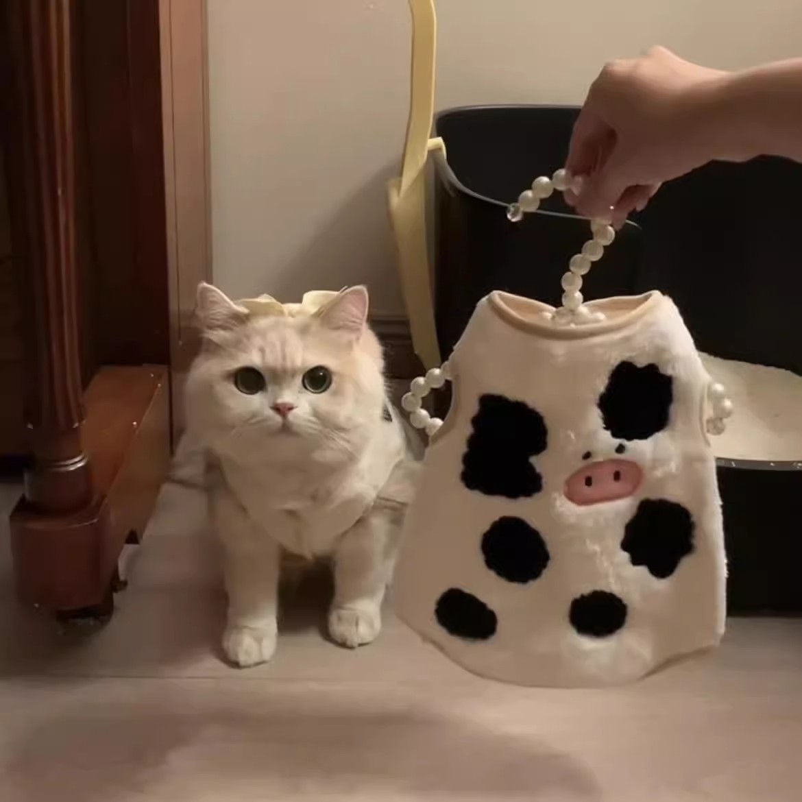 猫咪衣服春秋冬天保暖无袖