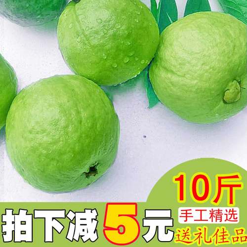 广西新鲜番石榴芭乐香甜软糯多汁