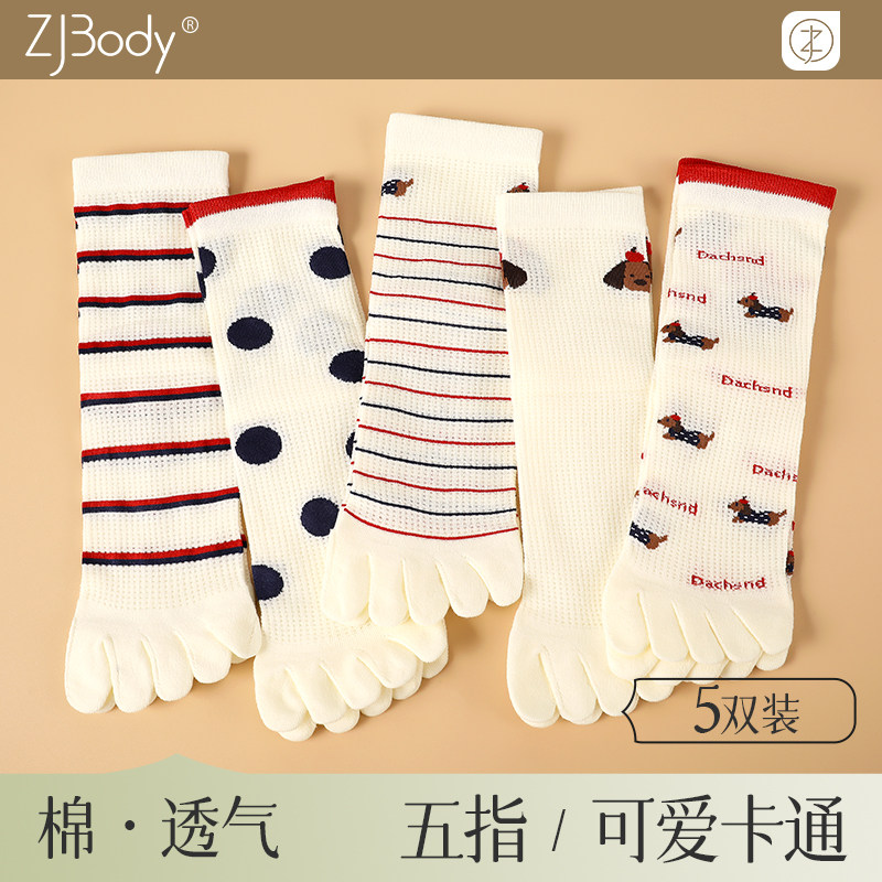 五指袜子女春秋薄透气网眼防臭吸汗运动分趾长袜子可爱卡通五趾袜