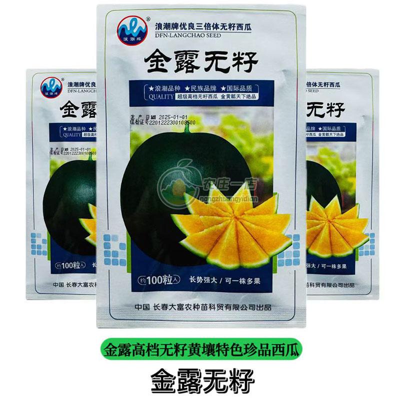 高档黑皮黄瓤黄肉无籽西瓜种子籽