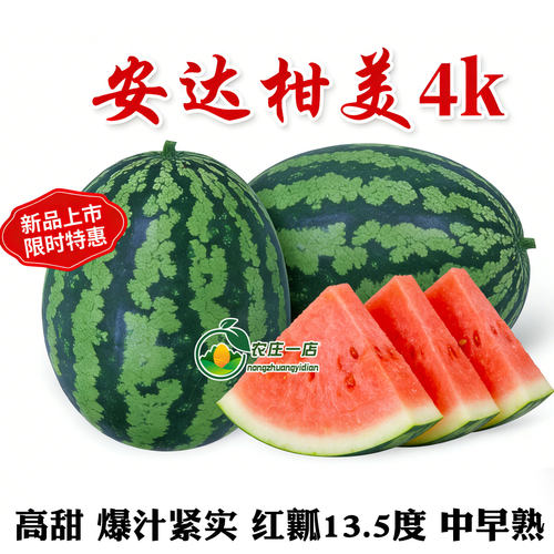4K西瓜种籽柑美战神西瓜种子超甜