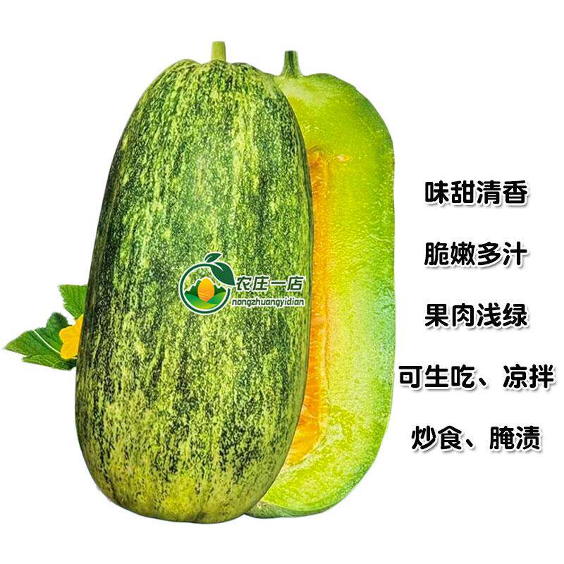薄皮酥脆菜瓜甜瓜种子香瓜种籽味甜清香大果高产春秋季播甜瓜种籽