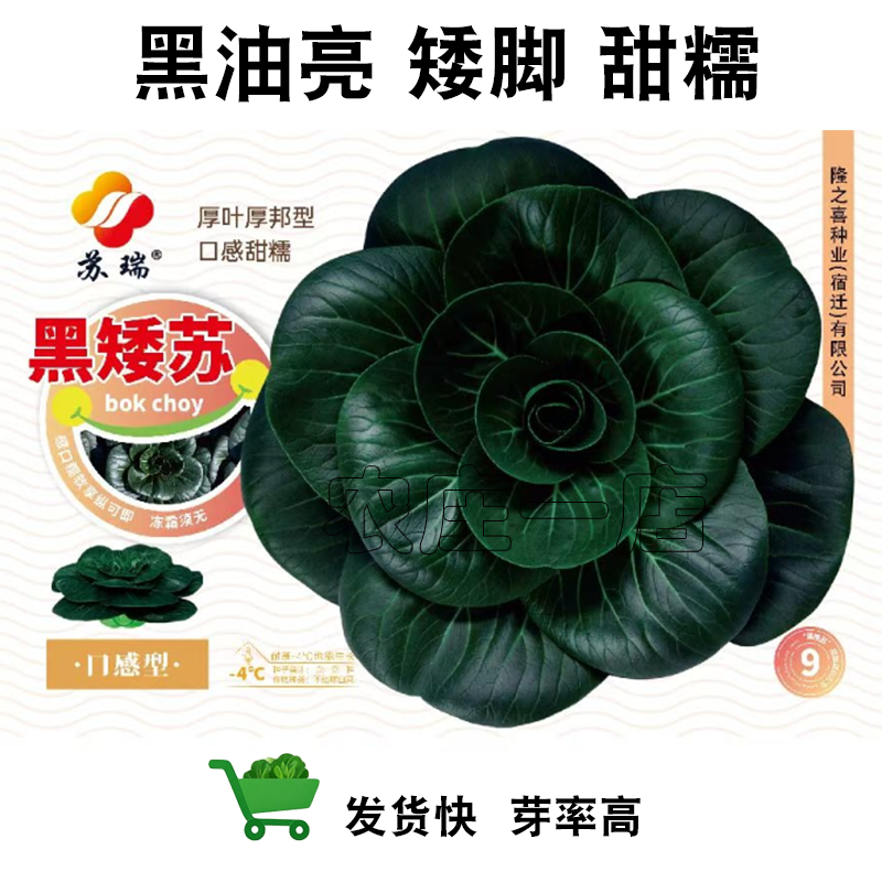 甜糯黑油亮青菜种籽特矮苏州青菜种子叶片肥厚趴地矮脚耐寒上海青,鲜花速递/花卉仿真/绿植园艺,家庭园艺种子,淘宝优惠券,粉丝福利购,淘宝优惠卷