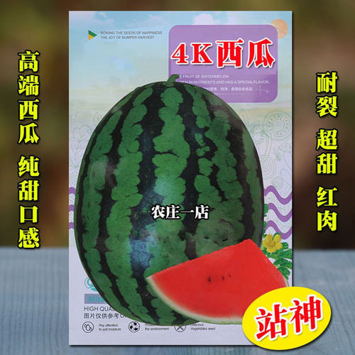 超甜4K西瓜种籽种子瓤红皮薄耐裂