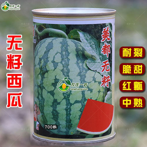 无籽美都西瓜种籽种子耐裂大红瓤