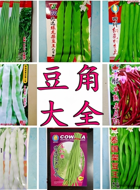 特长豆角种子大全四季豆红豇豆无架豆芸扁刀豆地豆王种籽四季蔬菜