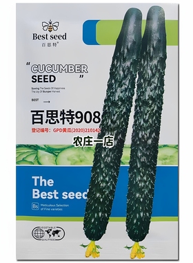 黑油亮长黄瓜种子大棚黄瓜种籽深绿色瓜皮油绿四季秋冬季蔬菜种孑