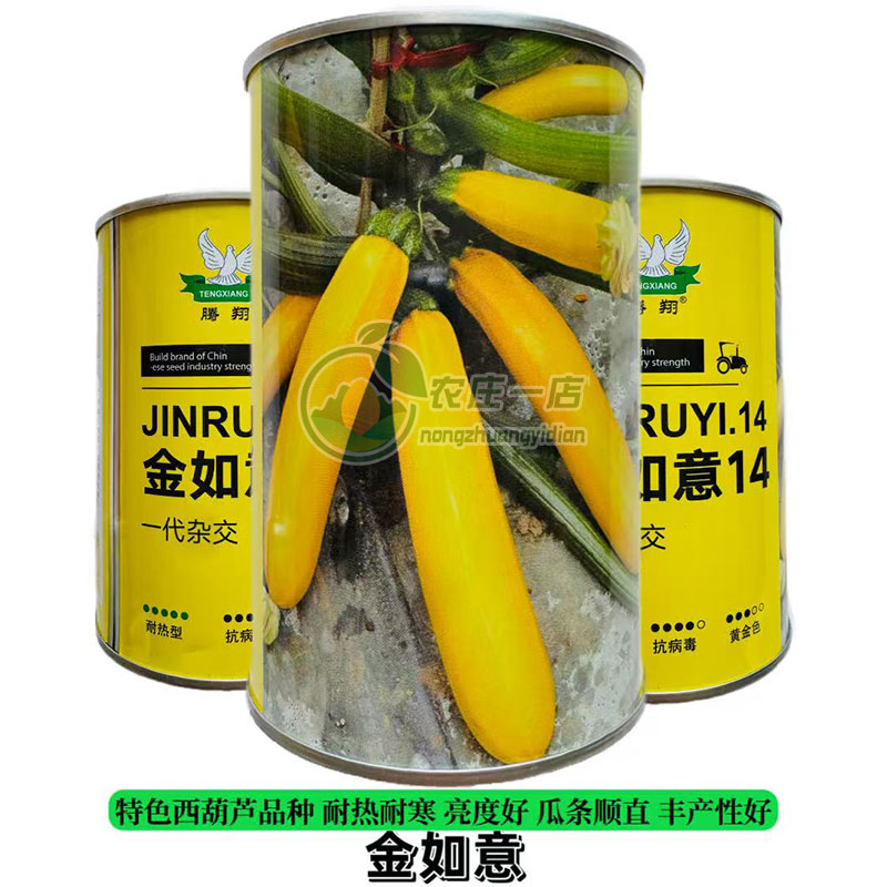 金如意香蕉西葫芦种子杂交黄茭瓜种籽四季种植耐热耐寒黄皮西葫芦