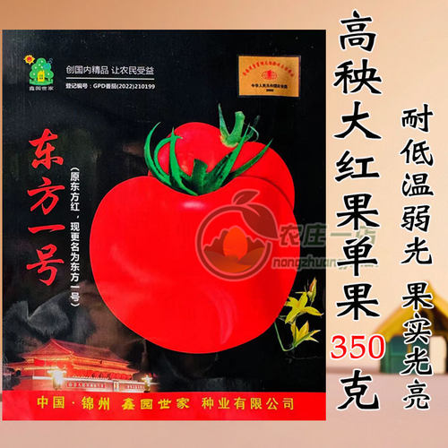 大红西红柿种籽耐低温番茄种子