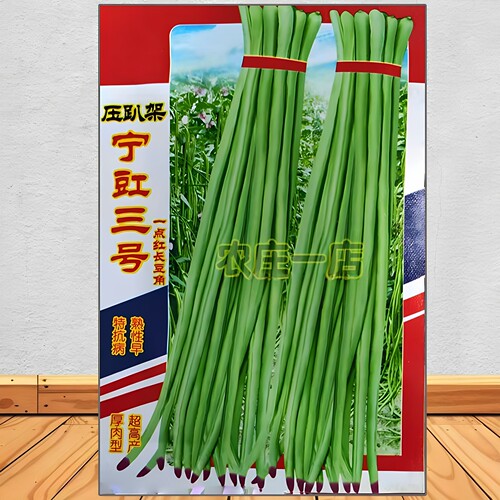 蔬菜春季高产爬藤豆角种子春季